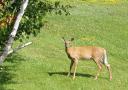 August 6, 2007 visitor
