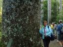 Michelle with ancient Kauri tree