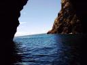 cave-boat-tour-whitianga.jpg
