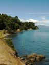 whitianga-coromandel-road-with-no-room-for-utility-poles.jpg