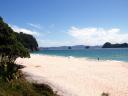 whitianga-hahei-beach.jpg