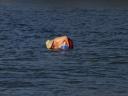 whitianga-pipi-picker-david.jpg
