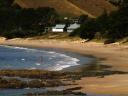whitianga-typically-crowded-coromandel-beach.jpg