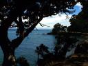 whitianga-view-from-coromandel-road.jpg